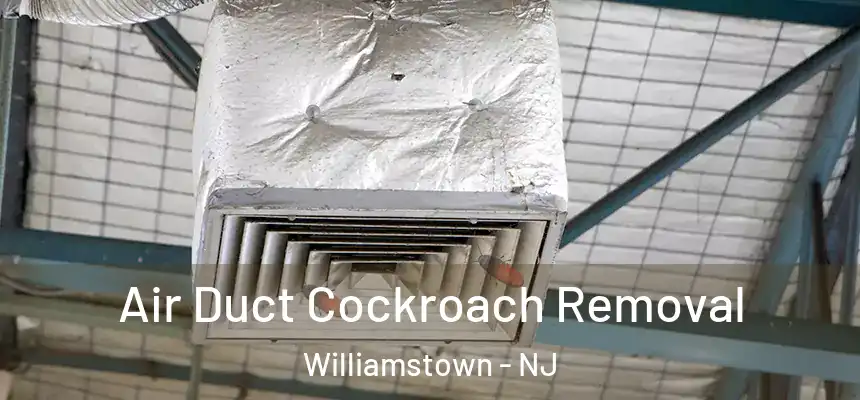 Air Duct Cockroach Removal Williamstown - NJ