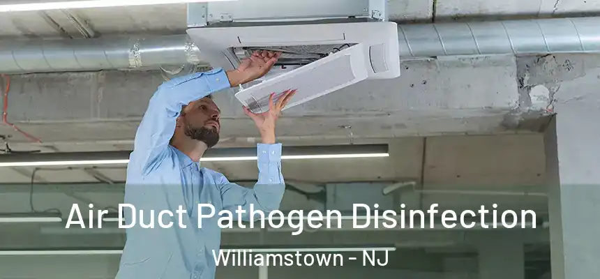  Air Duct Pathogen Disinfection Williamstown - NJ