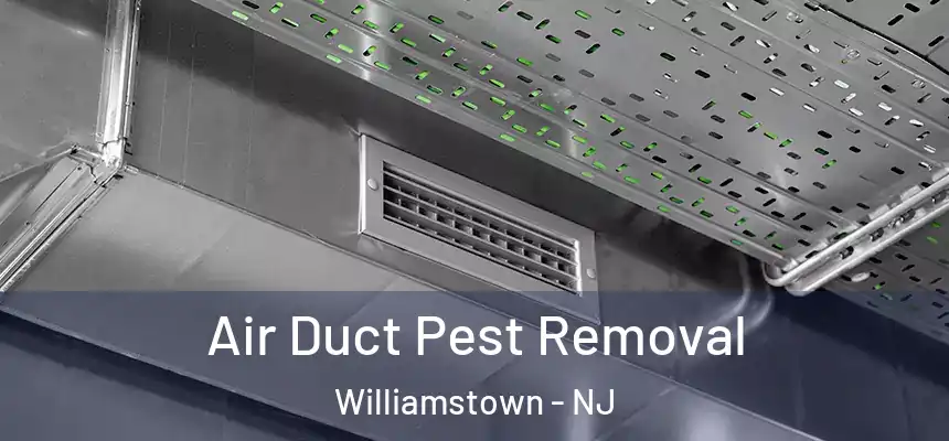 Air Duct Pest Removal Williamstown - NJ