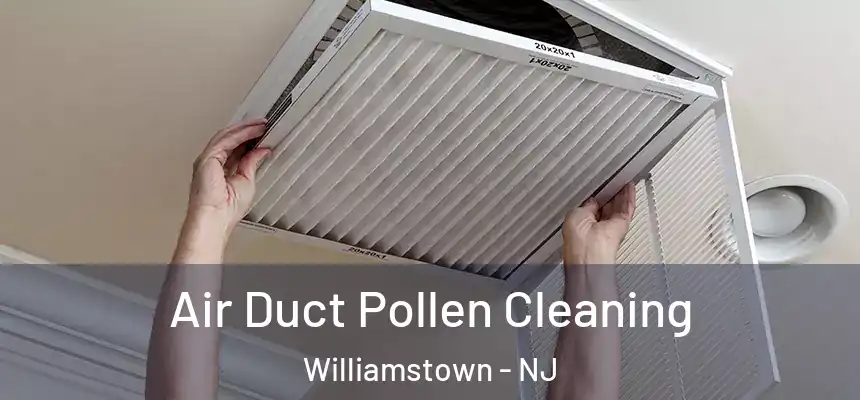 Air Duct Pollen Cleaning Williamstown - NJ