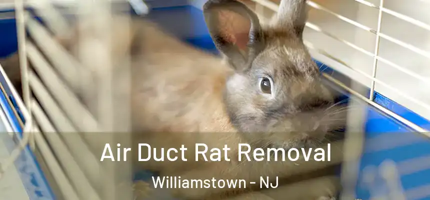 Air Duct Rat Removal Williamstown - NJ