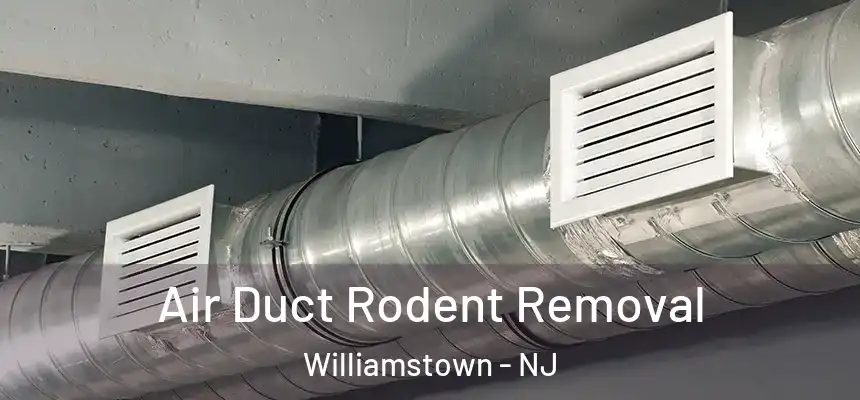  Air Duct Rodent Removal Williamstown - NJ