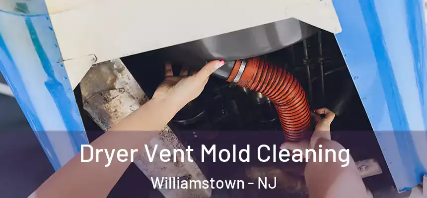  Dryer Vent Mold Cleaning Williamstown - NJ