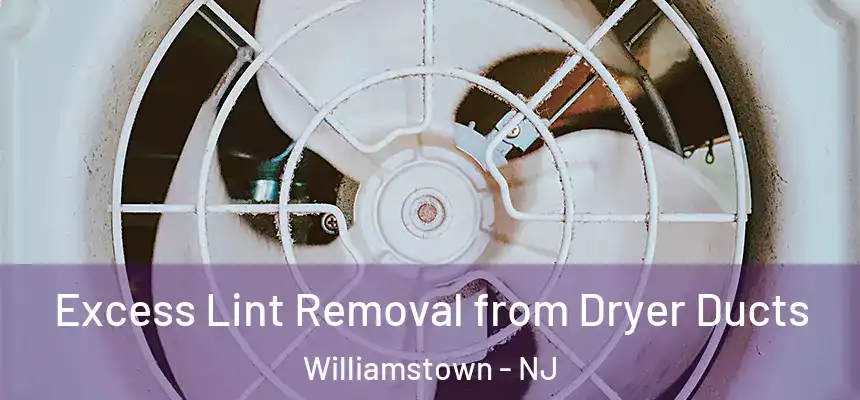  Excess Lint Removal from Dryer Ducts Williamstown - NJ
