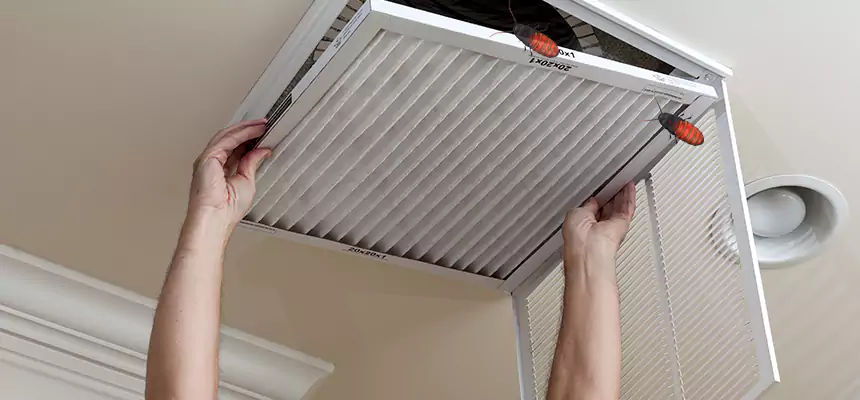 Our Insect Removal from Air Ducts Services in Williamstown, NJ