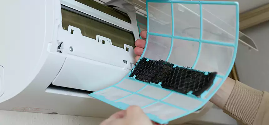 Gentle Ductwork Odor-Control Pet Dander Duct Cleaning in Williamstown, NJ