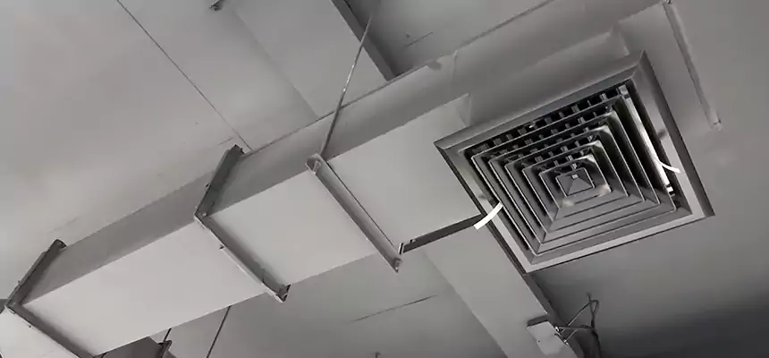 Our Rodent Droppings In Vents Services in Williamstown, NJ