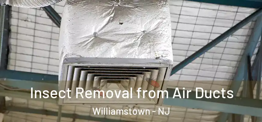  Insect Removal from Air Ducts Williamstown - NJ