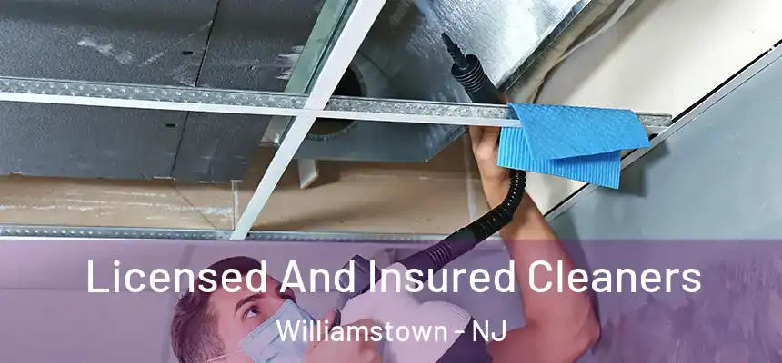 Licensed And Insured Cleaners Williamstown - NJ