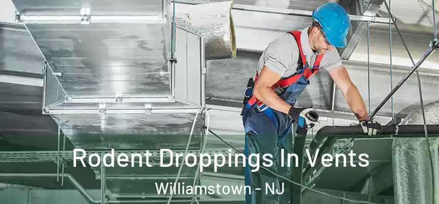  Rodent Droppings In Vents Williamstown - NJ