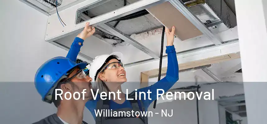 Roof Vent Lint Removal Williamstown - NJ