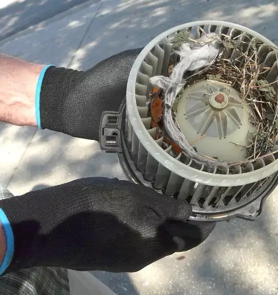 About Air Duct Rat Removal in Williamstown, NJ