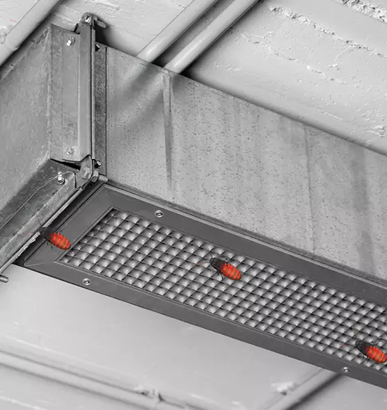 Affordable Insect Removal from Air Ducts in Williamstown, NJ