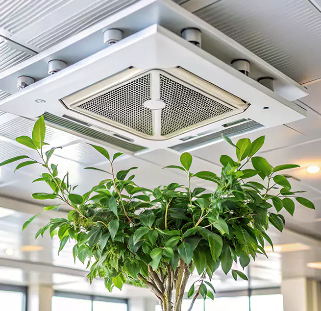 Why Homeowners & Businesses Trust Us in Williamstown, NJ?