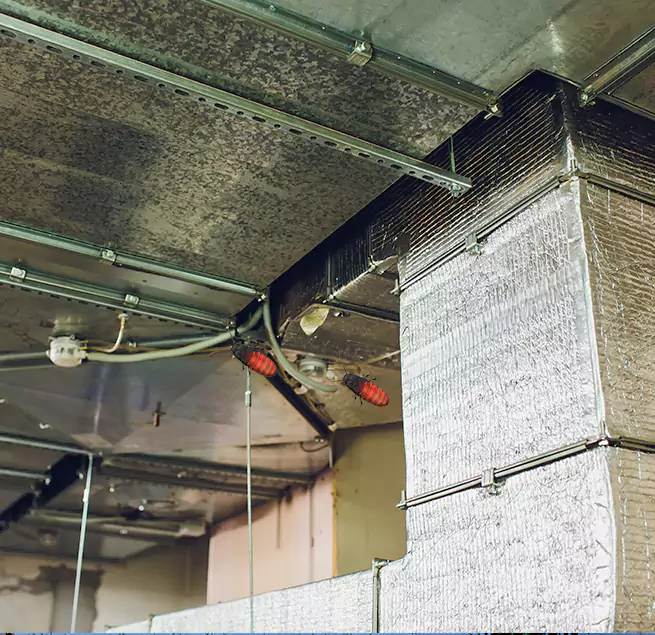 Why Homeowners & Businesses Trust Us Williamstown, NJ?