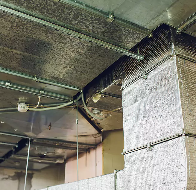 Why Homeowners & Businesses Trust Us in Williamstown, NJ?